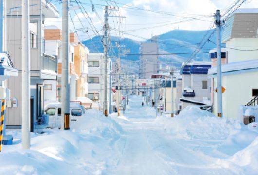 日本北海道小樽一日游｜朝里网红列车站｜札幌往返｜中文专车【尊享一对一高端行程定制，多日豪华包车专属礼遇，专业旅行顾问24小时恭候垂询。】