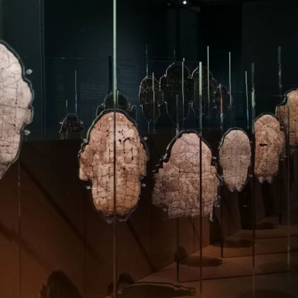 【含门票】河南殷墟博物馆（新馆）文史大咖VIP包团人工讲解