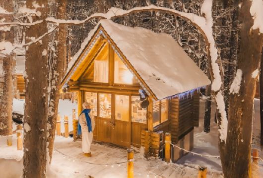 北海道+旭山动物园+森林精灵露台+青池一日游|可选9-13人【[人气动物园]走进旭山动物园，近距离感受寒地动物的自然日常】