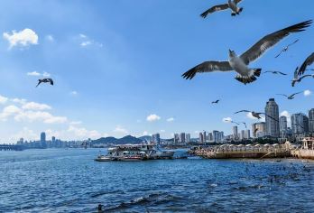 大连旅顺一日活动含门票含车【包含门票】