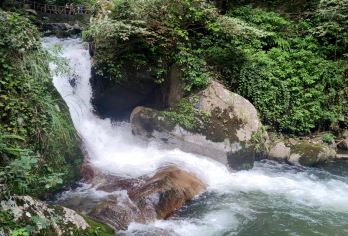 湖南株洲炎帝陵+炎陵县神农谷国家森林公园一日游可英文服务【可提供英文及小语种导游服务-往返接送-可选导游-可代订门票】