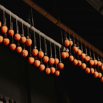 名古屋马笼宿&妻笼宿&恵那峡展望台&犬山城一日游|可选9人团