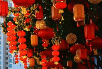 平潭岛包车4小时半日活动|全岛上门接+快速环岛+南北线任选体验【半日高效游览，可根据偏好自选北线风车田或南线坛南湾等核心景观。平潭站可往返接送】