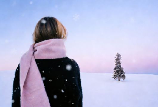 北海道点灯之旅&四季彩&圣诞树&精灵露台&瀑布青池【[网红景点打卡]一天打卡多个网红景点】