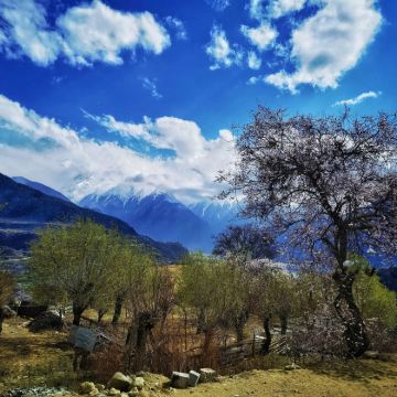 拉萨往丨大峡谷.南迦巴瓦峰.巴松措.卡定沟精品游丨索松村观景