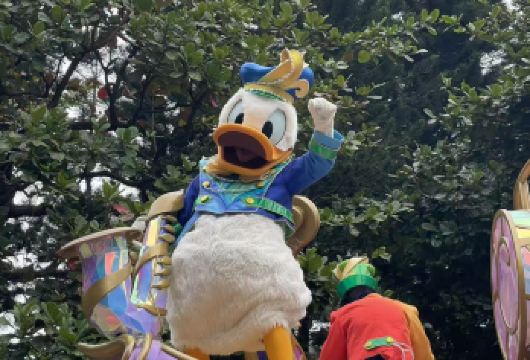 中国 香港迪士尼乐园接送/陪同游玩服务【一对一专人服务】