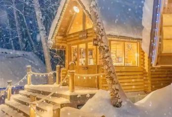 日本北海道旭山动物园美瑛网红树森林精灵阳台一日游9人小团【VIP9人精致纯玩小团】