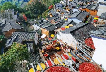 【包车游】婺源篁岭+江湾景区一日游【上门接送 纯玩无购物】【[一对一包车]专车上门接送，车辆费用全含】