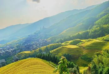 桂林龙脊一日游丨金坑梯田+黄洛瑶寨【8人小团/私家团可选】【品质出游】