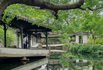 拙政园【人工讲解丨不含门票丨可选1.5H散拼团&私家团】【[沉浸式回府]东中园3园，循序渐进，领略苏州园林之美，听听拙政园的传奇故事】