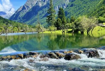 四姑娘山景区一日游【双桥沟+猫鼻梁丨赠：门票】【[度假精选]全程纯玩·无购物+旅游意外险】