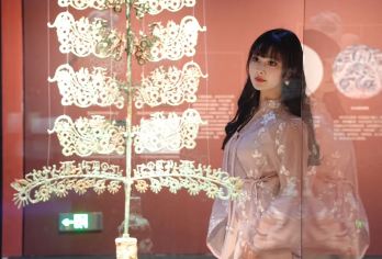 四川博物院讲解半日游【三大镇馆之宝·必看深度解谜】