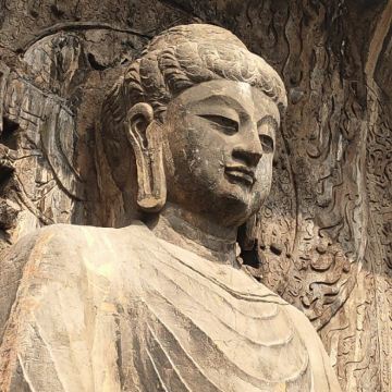 【2-8人精品小团】少林寺+龙门石窟一日游｜商务车上门接送