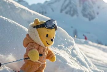 红松王滑雪+长白山临溪温泉一日游【初级滑雪赛道，更适合小白的你，安全且愉快，雪具一家全含】