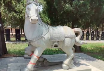 新乡市区包车往返｜比干庙-比干墓一日包车游（多车型可选）【[一对一包车]专车上门接送，车辆费用全含】