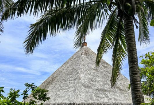 分界洲岛-南湾猴岛生态旅游区-呆呆岛【1单1团·纯玩·专车】