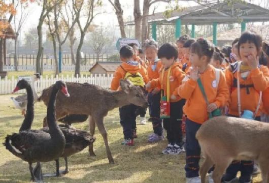 【福瑞狂欢•全新西游神话远征】南京金牛湖野生动物王国一日游【[服务保障]旅行社承诺不进任何暗店，真正团型】