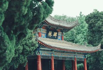 西安碑林博物馆半日游文咖说 3小时起深度讲解10人精品小团【文咖讲师深度解说3小时起】