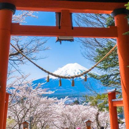 日本东京富士山+御殿场奥特莱斯一日游