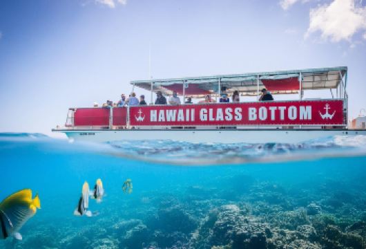 夏威夷威基基玻璃底船浪漫观光巡游【英文团】【乘坐宽敞的Haleiwa Queen双体船，沿欧胡岛南岸航行至钻石头。船上配备休息区、洗手间及免费饮】