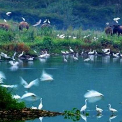 常德到花岩溪景区+龙凤湖游船一日游【五人起订】