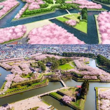 日本北海道【浪漫全景】五棱郭公园+特拉皮斯修道院+函馆山夜景