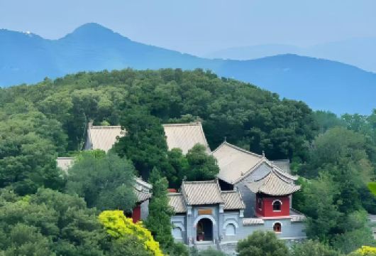 登封少林寺+洛阳龙门石窟一日游【自由行 只含往返车位费】【河南经典景点，一日游完！】