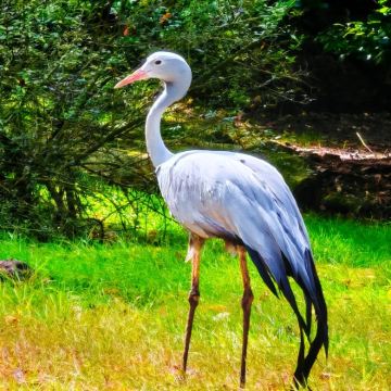 德国纽伦堡市内【城市全景，亲子互动】一日游