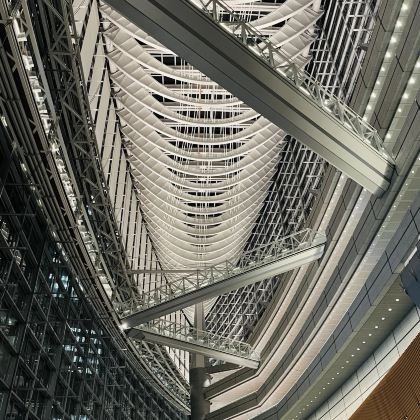 沉浸式日本东京一日游（浅草寺-晴空塔-上野公园-银座）