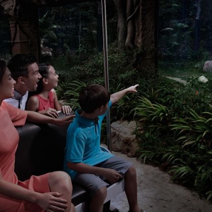 新加坡滨海湾花园+鱼尾狮+河川生态园+夜间野生动物园一日游