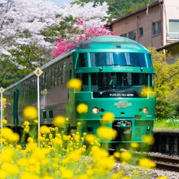 九州温泉秘境之旅｜别府 + 汤布院疗愈一日游
