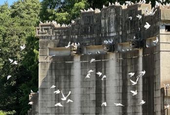 南京中山陵+灵谷景区+南京博物院+古鸡鸣寺一日活动-可英文服务【提供多语种服务、全程专车接送、热门景点门票代订一站式旅行服务】