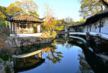 拙政园半日游【门票+讲解+免排队进场】【单人可散拼，团队免排队进场】