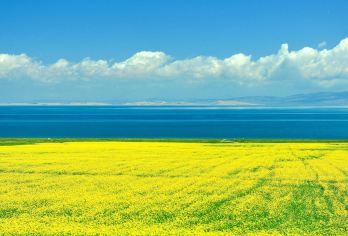 【甘肃兰州】门源观花台+水墨丹霞+黄河母亲像+兰州老街【甘肃甘南地区 热门景点】