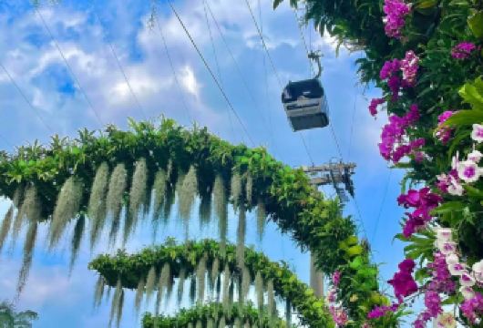 私家包团+永庆坊+南越王博物院+网红云萝植物园+广州1日游【私家旅行：一单一团，不拼客，专属旅行、品质服务：小车上门接送，专职司机护航】