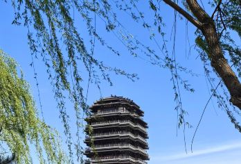 青岛出发-淄博红叶柿岩+海岱楼+八大局一日游-可英文服务【提供多语种服务、全程专车接送、热门景点门票代订一站式旅行服务】