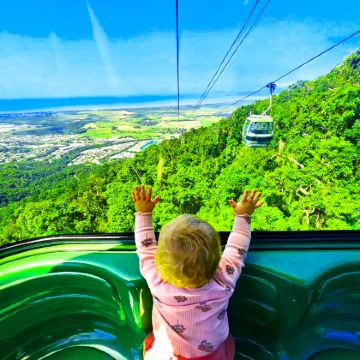 库兰达雨林中文导游全程陪同丨抱考拉/酷牛可选中/英团一日游