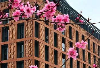 杭州浙江大学一日·名校参观研学，浙大学长亲带队·可选上下午场【[专业讲解]邀请浙江大学优秀学子，带领参观校园】