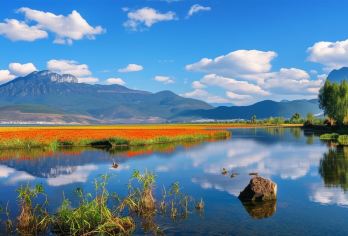 丽江+拉市海一日游【骑马·划船·9-14点自选出发时间】【随心出行：轻松游玩，自然醒后再出发，多段出行时间，可选出发时间[9-14点]纯玩小团】