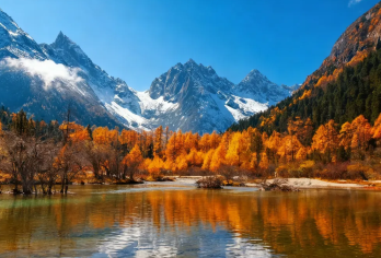 成都往返：都江堰+毕棚沟【中英等多语种-定制包车游】#【成都全市超大范围免费上门接送，行程景点可定制，拒绝走马观花式游览，资深司导一站到底式管家】