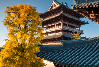 濮院时尚古镇＋南湖景区＋西南湖生态公园包车游【嘉兴市区】【睡醒出发，说走就走的旅行，真正的无购物无隐形消费，包含用车、可加订专业导游，让您的旅途更精彩！】