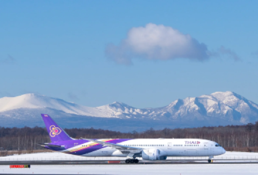 北海道札幌 新千岁机场 接/送机【 定制单程包车-中文司机】【新千岁机场 接机 送机。】