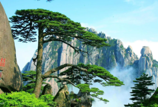 黄山：私人陪爬服务｜专业导游｜景点讲解｜一单一团｜中英多语种【提供中文等等多语种导游】