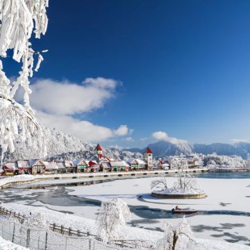 成都 西岭雪山一日游【包车 独立专车-来去自由  不含门票】