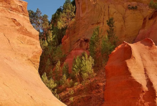 阿维尼翁帕普新堡+吕贝宏一日游【城堡遗址/鲁西永赭石景观】【教皇新堡城堡遗址参加及品酒机会】