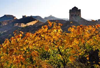 北京金山岭长城景区直通车往返票（全程高速，一站直达）【东直门交通枢纽站出发一站直达金山岭景区，全程高速。】