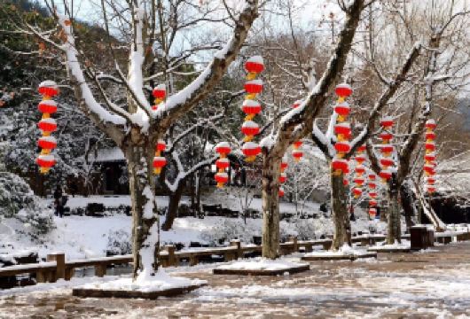 浙江宁波一日游包车游/蒋氏故居+天一阁博物馆+溪口-滕头景区【10小时vip服务】