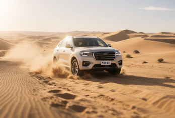 【敦煌西线包车游】阳关+玉门关+雅丹魔鬼城/免费接机接站【小众精品团，告别嘈杂：每车严格限制人数，和熙熙攘攘的大部队说再见，享受私密悠闲时光】