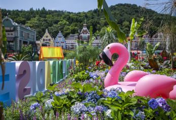 首尔出发：爱宝乐园门票+往返交通+熊猫快速通行【直达巴士服务：免去转乘地铁和拥挤公车的烦恼，搭乘我们的直达巴士轻松前往爱宝乐园，省时又便利。】