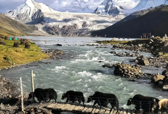 林芝包车地陪导游翻译地接陪同接送旅游展会商务考察【林芝包车地陪导游翻译地接陪同接送旅游展会商务考察】